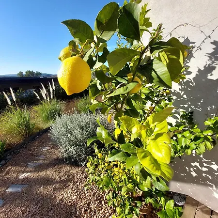 Santa Giulia Camara - Bed & Breakfast Lecci