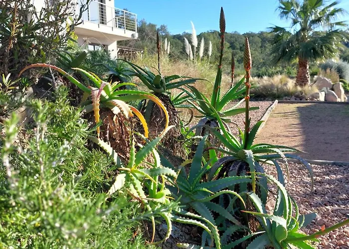 Santa Giulia Camara - Panzió Lecci