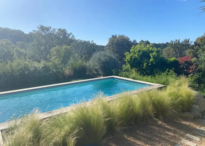 Santa Giulia Camara - Lecci