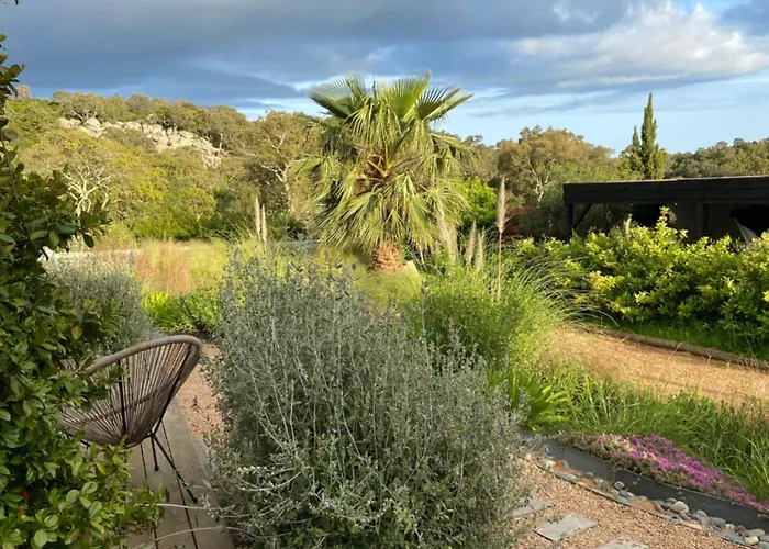 Santa Giulia Camara -