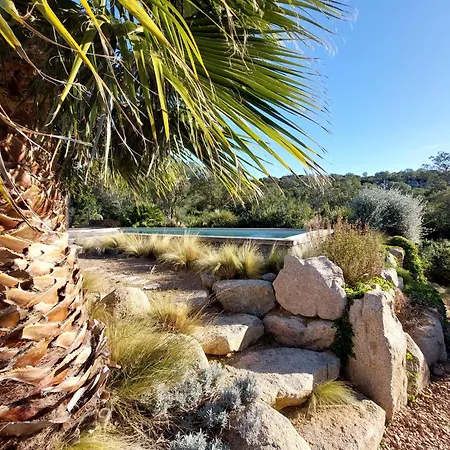 Santa Giulia Camara - *