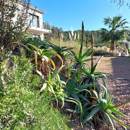 Santa Giulia Camara - Bed and breakfast Lecci