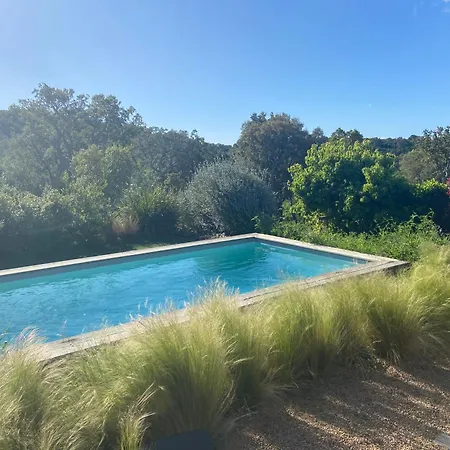 Santa Giulia Camara - Lecci