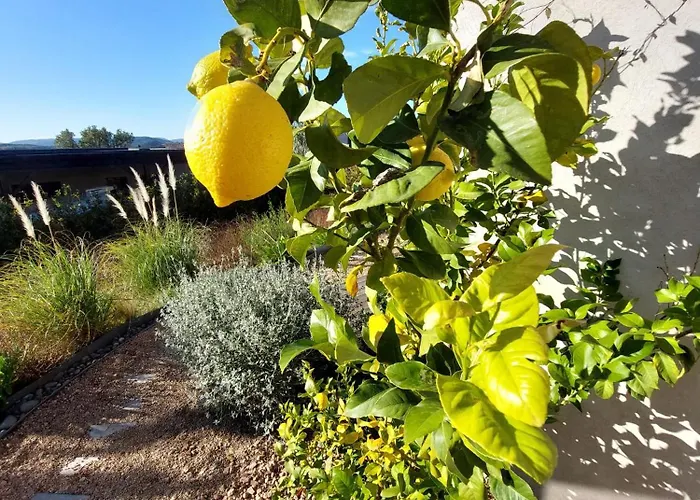 Santa Giulia Camara - Bed & Breakfast Lecci